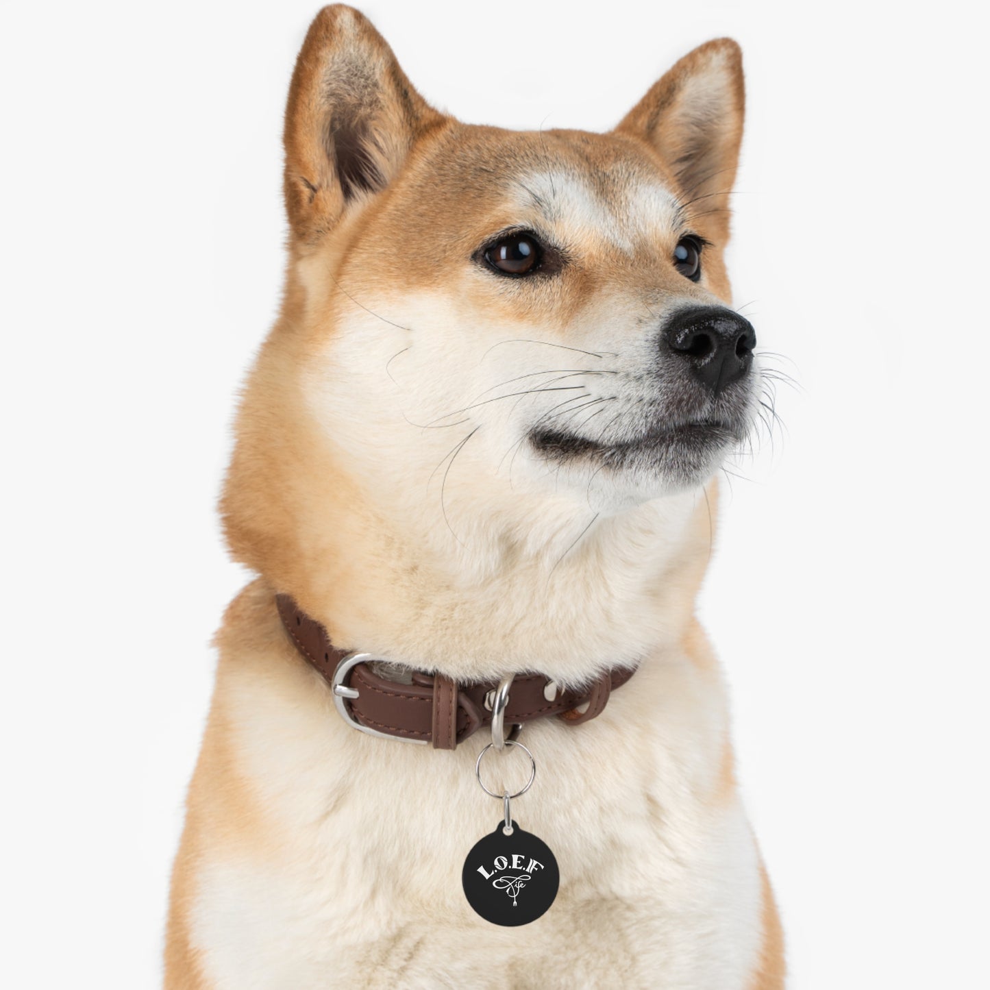L.O.E.F Pet Tag