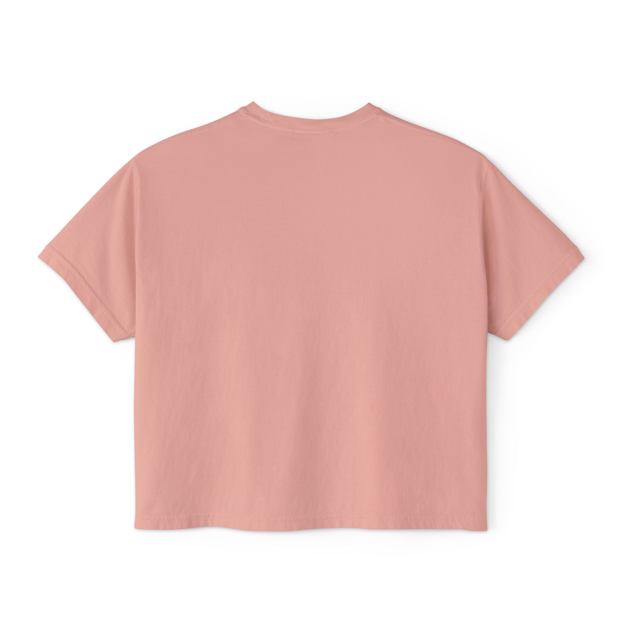 L.OE.F Women Vegan Foodie Boxy Tee (Mint Green)